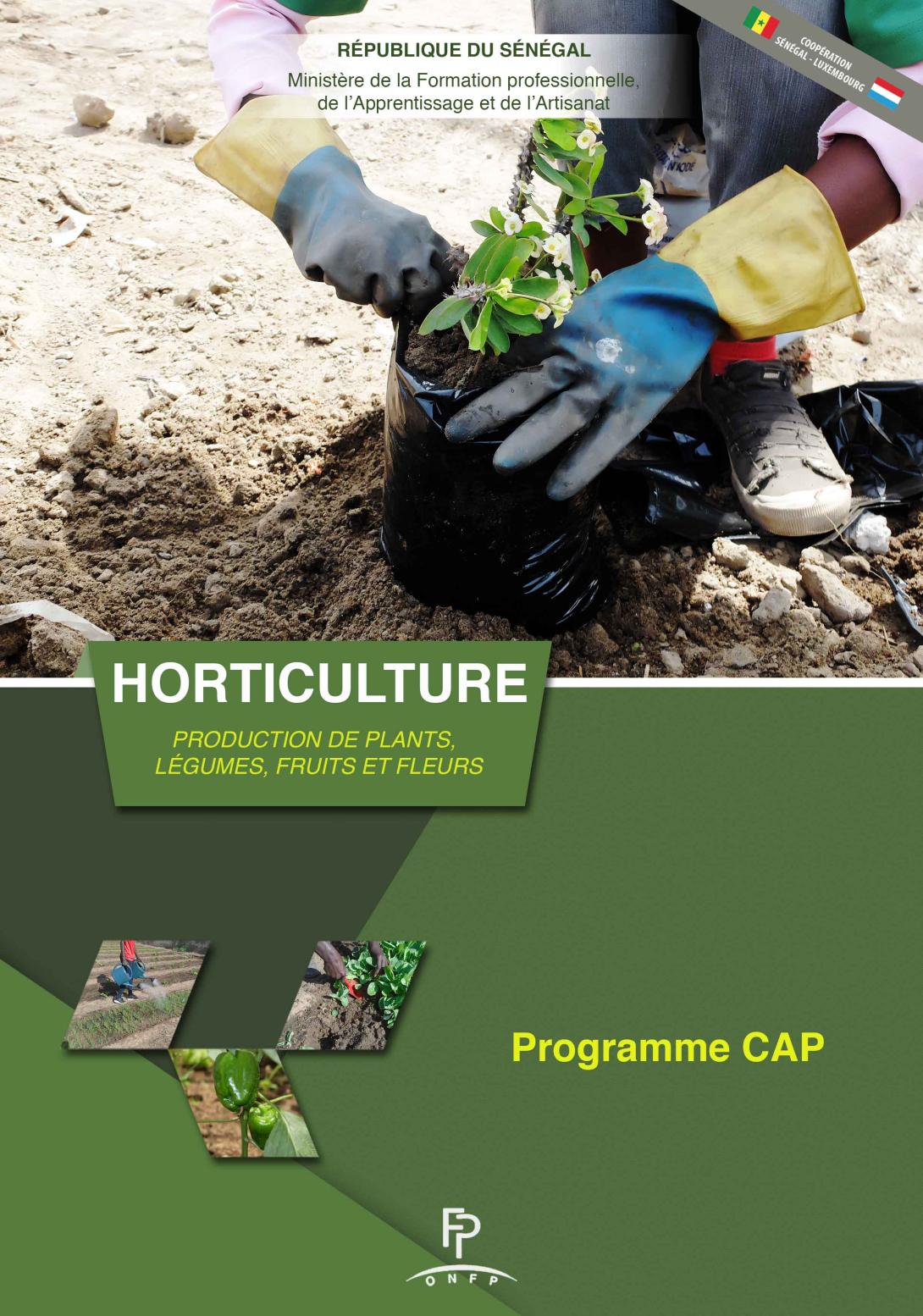 Horticulture