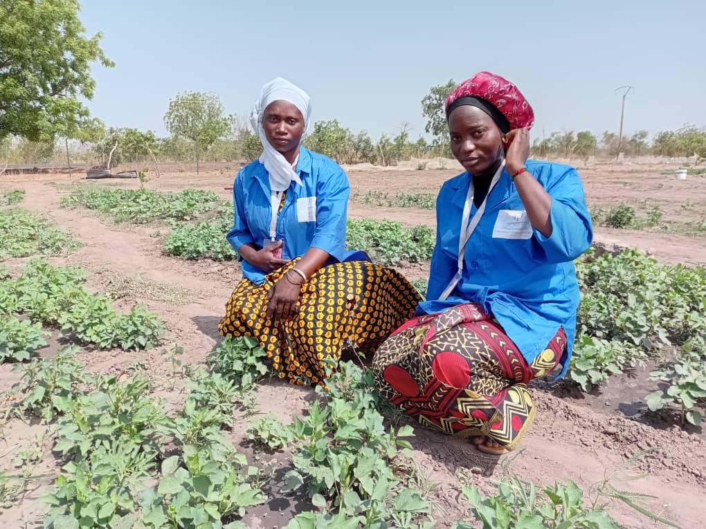 Pôle Sud-Est : Evaluation de la formation en maraîchage (durée 15 jours) au GIE Boustane Natangué de Tambacounda 