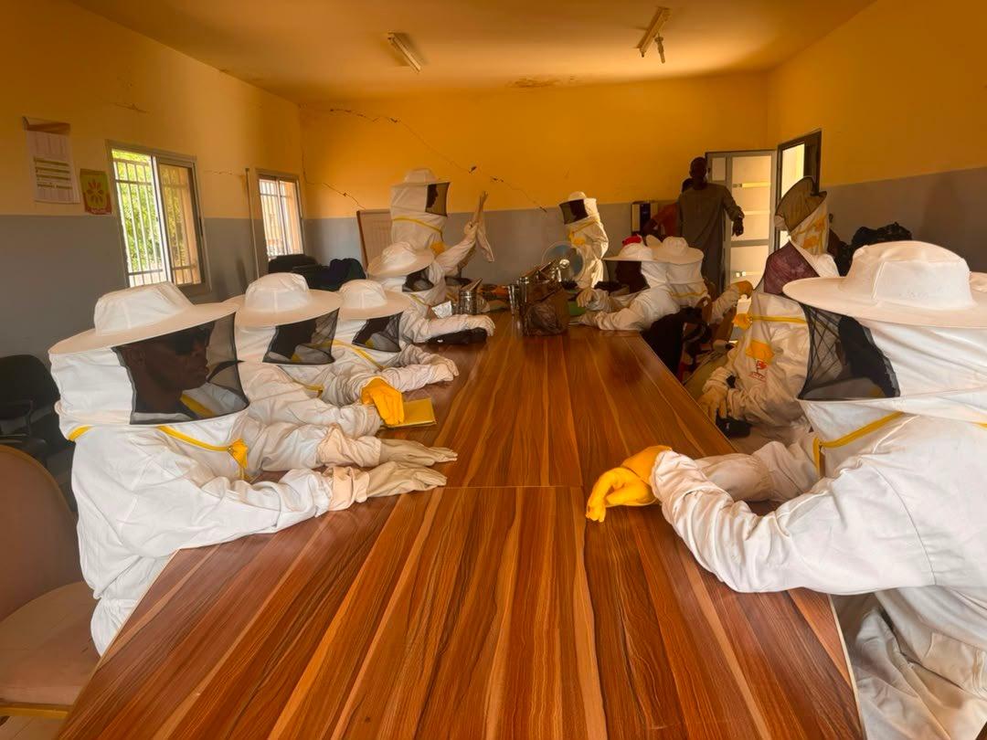 Pôle Diourbel-Louga : Évaluation de la formation en apiculture